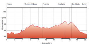 Altimetria